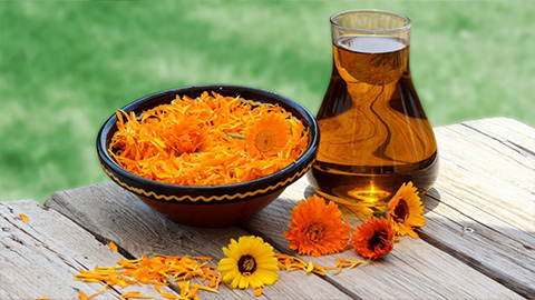 I benefici della crema alla Calendula